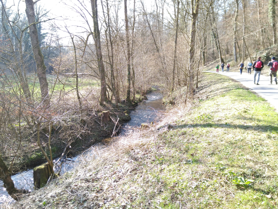 Fünfmühlental bei Bad Rappenau am 13.03.2022